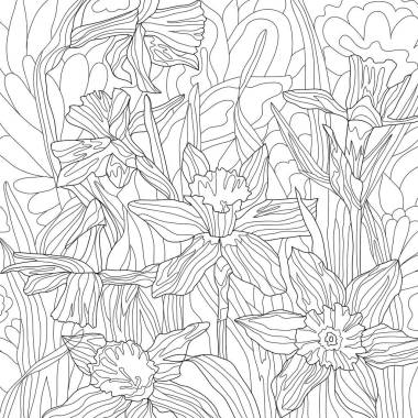 水仙花彩繪圖畫花瓣 