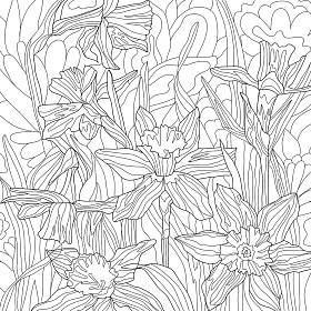 水仙花彩绘图画花瓣 