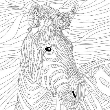 斑馬動物的顏色圖解、動物藝術圖解。斑馬的矢量圖解。野生動物形象。畫馬。黑色插圖，彩色頁。灌印。單色線條繪圖