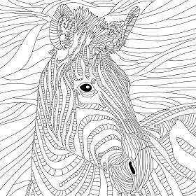 斑马动物的颜色图解、动物艺术图解。斑马的矢量图解。野生动物形象。画马。黑色插图，彩色页。灌印。单色线条绘图