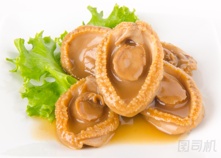 鮑魚。中國(guó)菜鮑魚背景上.圖片