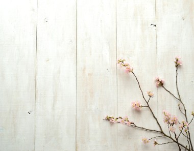 在木制的白色背景上的粉色櫻花