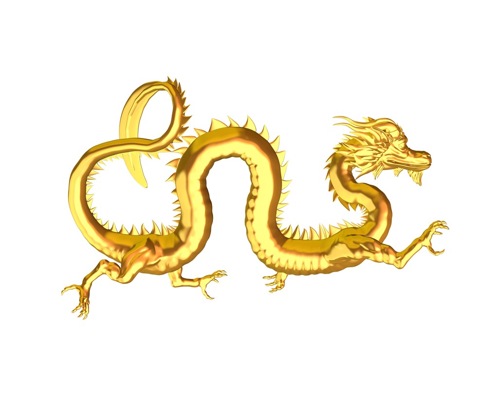 中国金龙-3照片
