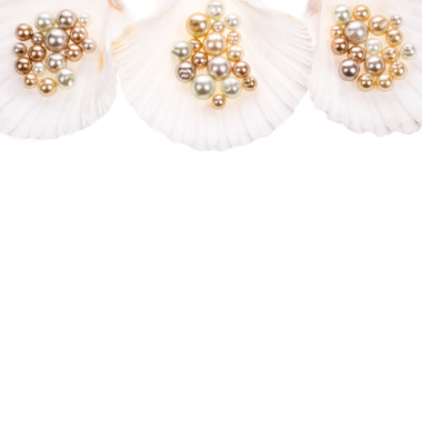 大珍珠牡蛎壳和小珍珠图片