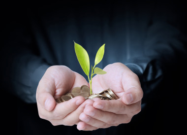 拿著一把硬幣從發(fā)芽的植物