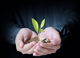 拿着一把硬币从发芽的植物