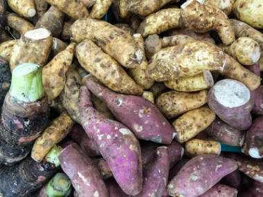 芋頭和木薯的根