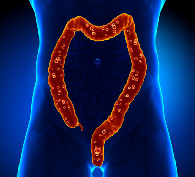 結(jié)腸解剖-痛苦