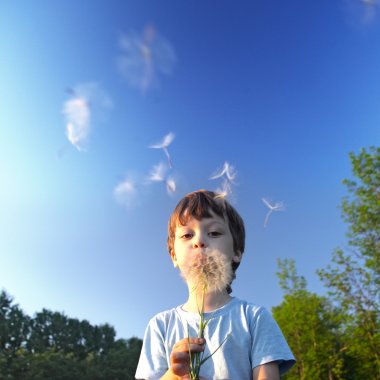 美男孩与蒲公英图片 美男孩与蒲公英图片