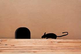 老鼠在墙上的房子。剪影鼠标