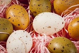 Decorated eggs in pink hay -- Easter elephant