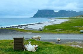 haukland 海滩夏天视图 （挪威的罗弗敦)