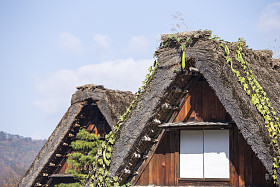 在小村庄行长白川方明去日本的小屋和大米字段。autu
