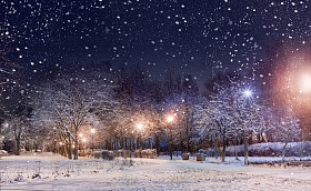 在第一场雪下的夜间城市公园图片