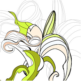 百合马蹄莲花照片