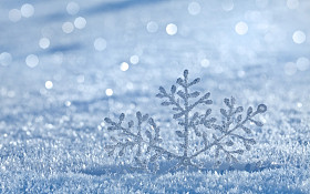 冬天积雪表面覆盖图片