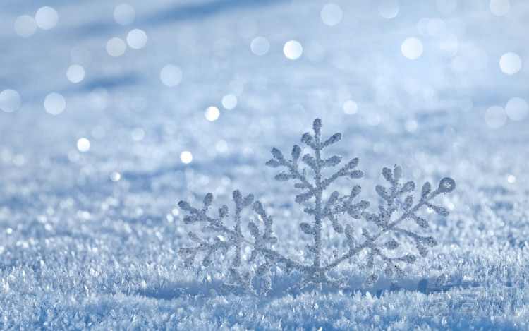 冬天積雪表面覆蓋圖片