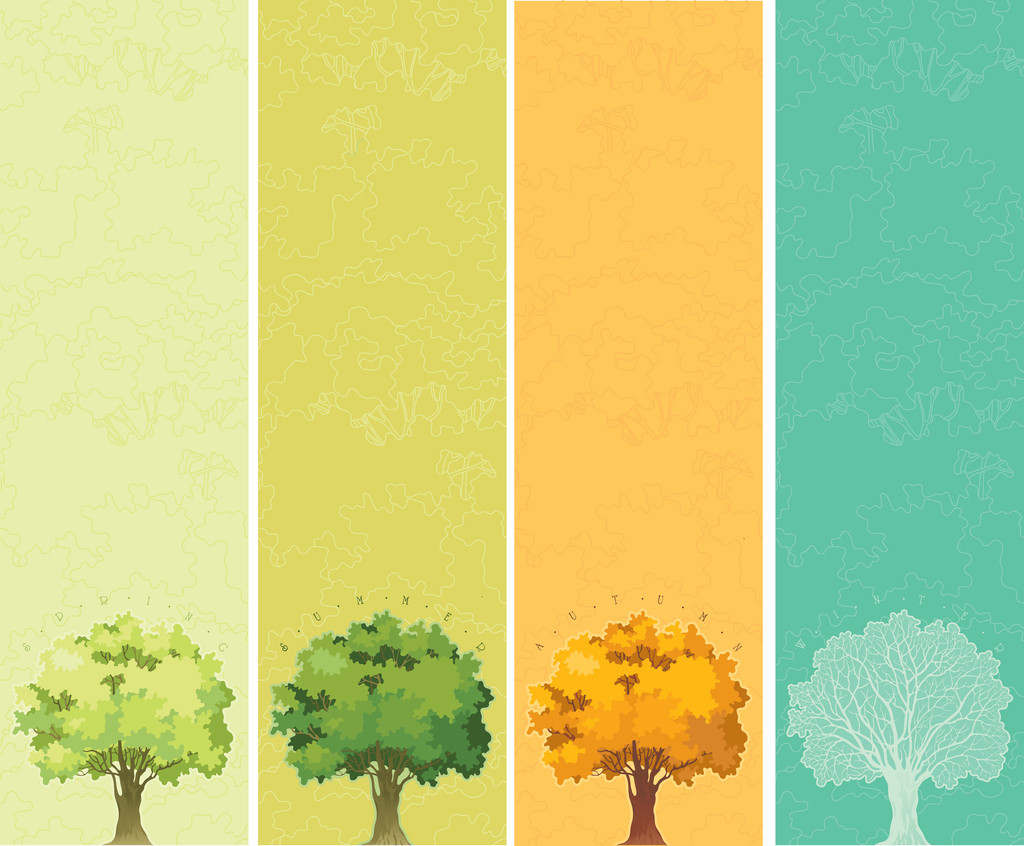 四季-春、 夏、 秋、 冬图片