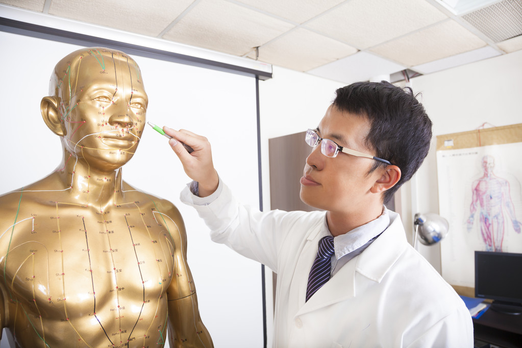 中医教学穴位人体模型