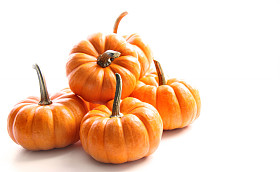 在白色上的白色小南瓜