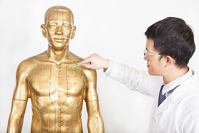 中医医生教穴位人体模型