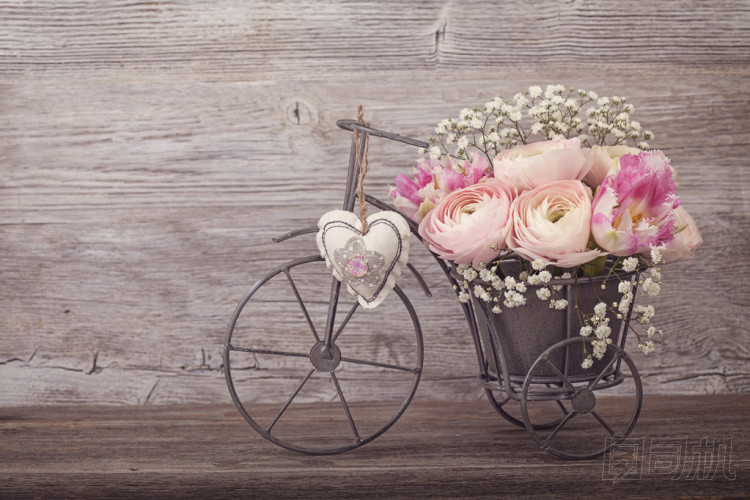 毛茛屬植物的花圖片