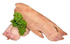 原始猪猪蹄图片