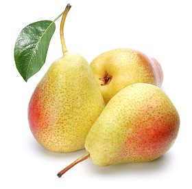 三个早熟梨.图片