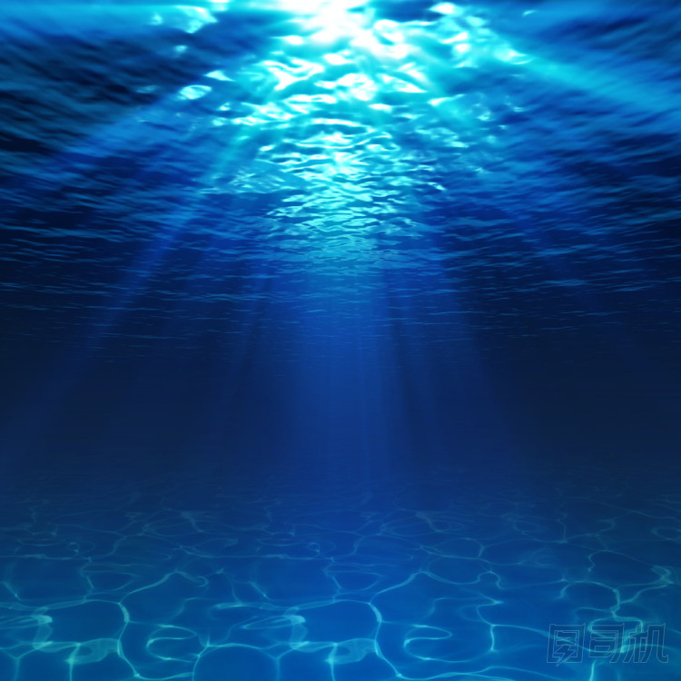 沙質(zhì)海底水下視圖