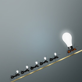 蚂蚁，业务团队照片