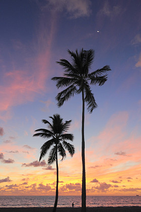 美丽的海滨日出