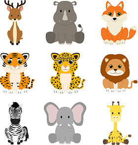 野生动物的集合