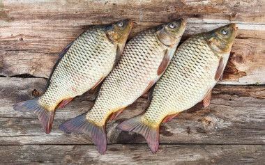 鲤鱼翻旧木板棋盘照片