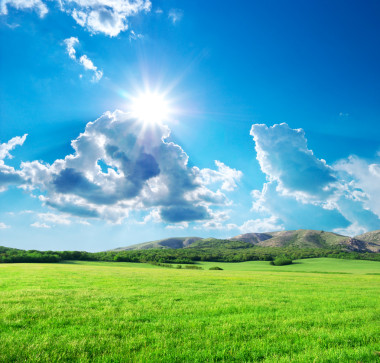 在山中的绿色草地图片