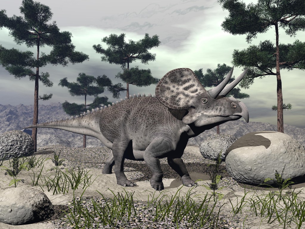 zuniceratops 恐龙-3d 渲染 zuniceratops 恐龙-3d 渲染