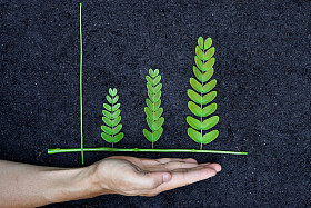 作为一个绿色的图形排列的树