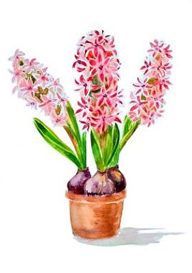 回家插在花瓶里的鲜花。水彩图片