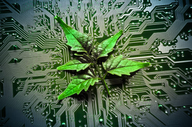 綠色計算
