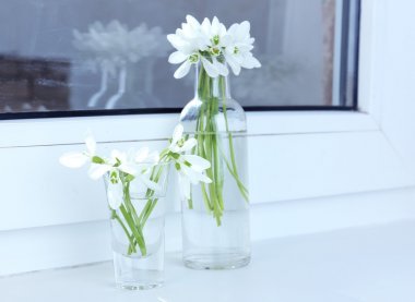 雪花蓮在窗臺上花瓶中的美麗花束