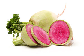 党的忠诚萝卜图片