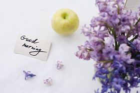 紫色和绿色的早晨图片