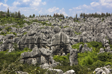 在云南省石林國家公園