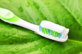 绿色的叶子上的牙刷图片