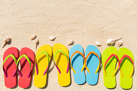 夏天的乐趣图片