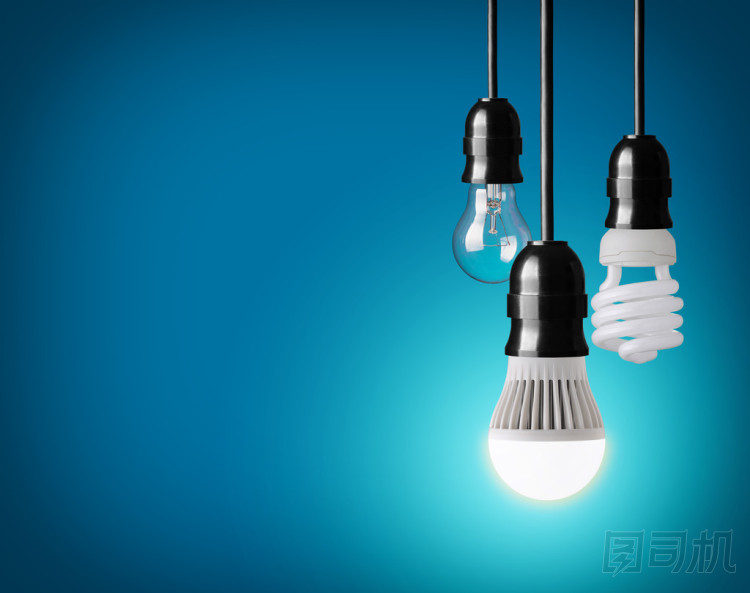 電燈泡