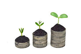 长在树上的硬币图片