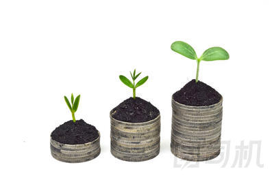 長在樹上的硬幣圖片