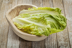 生菜图片
