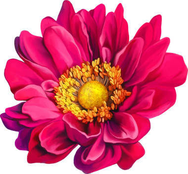 蒙纳丽莎花图片