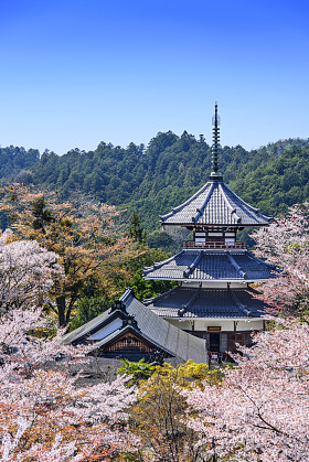 吉野山日本金浦森寺